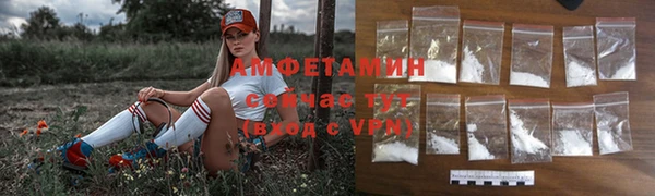 сатива Абаза