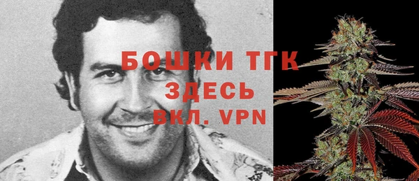 ALPHA PVP Новозыбков
