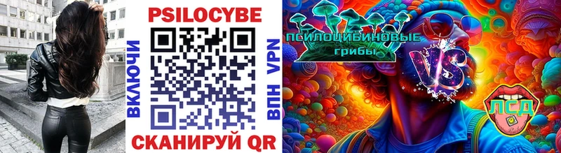 как найти наркотики  Устюжна  маркетплейс формула  Галлюциногенные грибы Psilocybine cubensis 